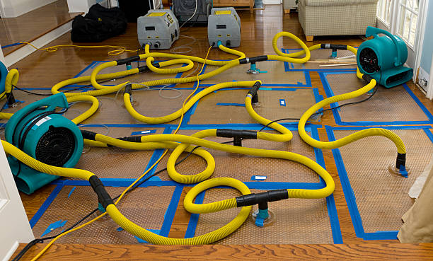 Professional Burst Pipe Water Damage technician working in Weehawken, NJ